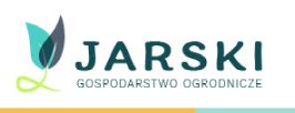 borówka amerykańska hurtownia